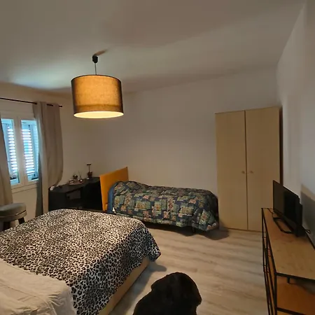 Gioia